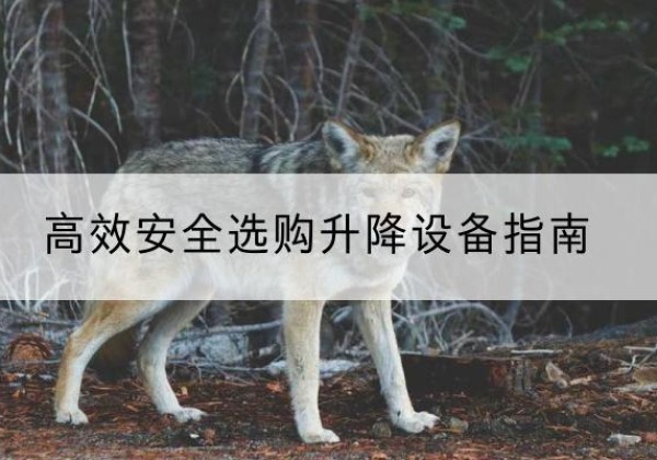 阿瓦提升降货梯厂家推荐-*安全选购升降设备指南