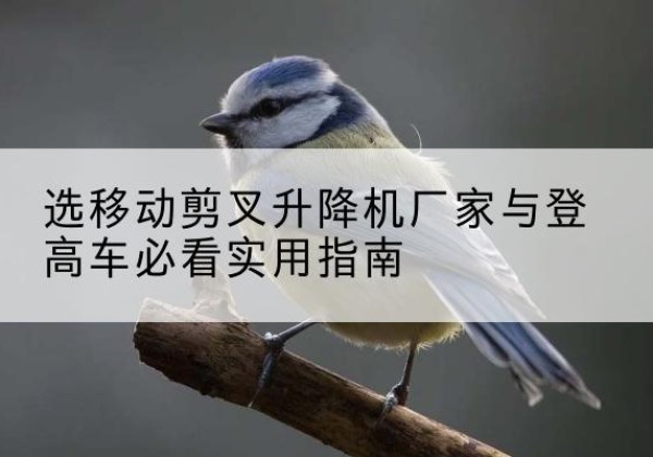 阿瓦提电动升降机厂家-选移动剪叉升降机厂家与登高车必看实用指南
