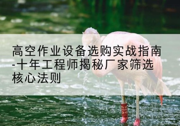 阿瓦提剪叉式升降机厂家-高空作业设备选购实战指南-十年工程师揭秘厂家筛选核心法则